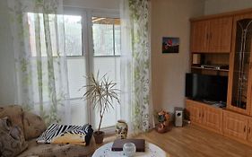 Ferienwohnung Feldberger Seen